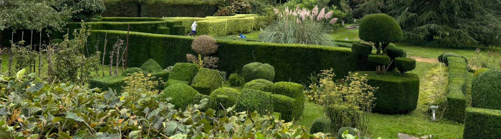jardin